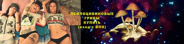 спайс Алексин