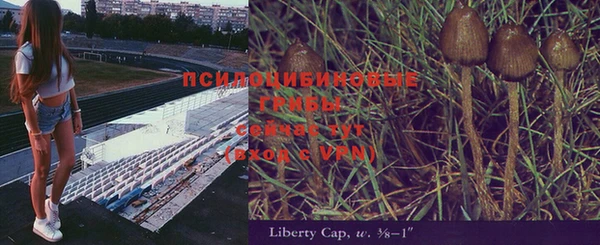 первитин Алексеевка