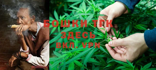 спайс Алексин