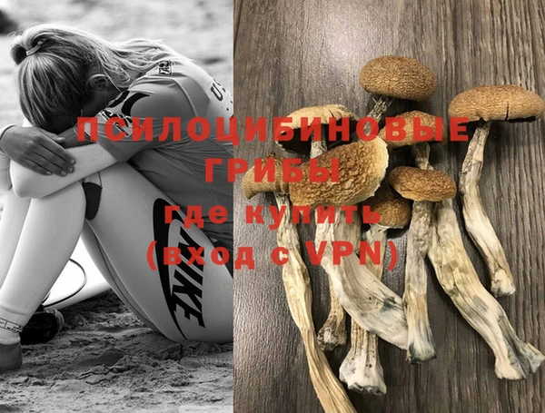 спайс Алексин